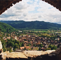 Staufen Weinberge